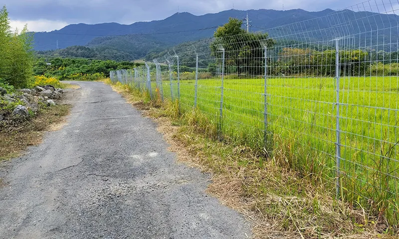 緩衝帯の設置イメージ
